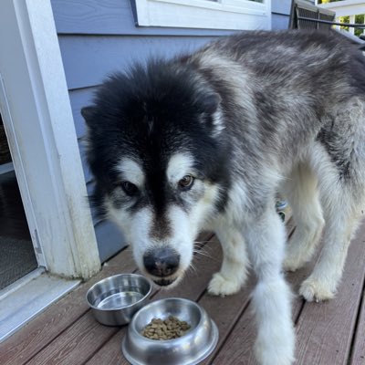 rich_klee's tweet photo. #NewProfilePic https://t.co/KXgS3fgwzH