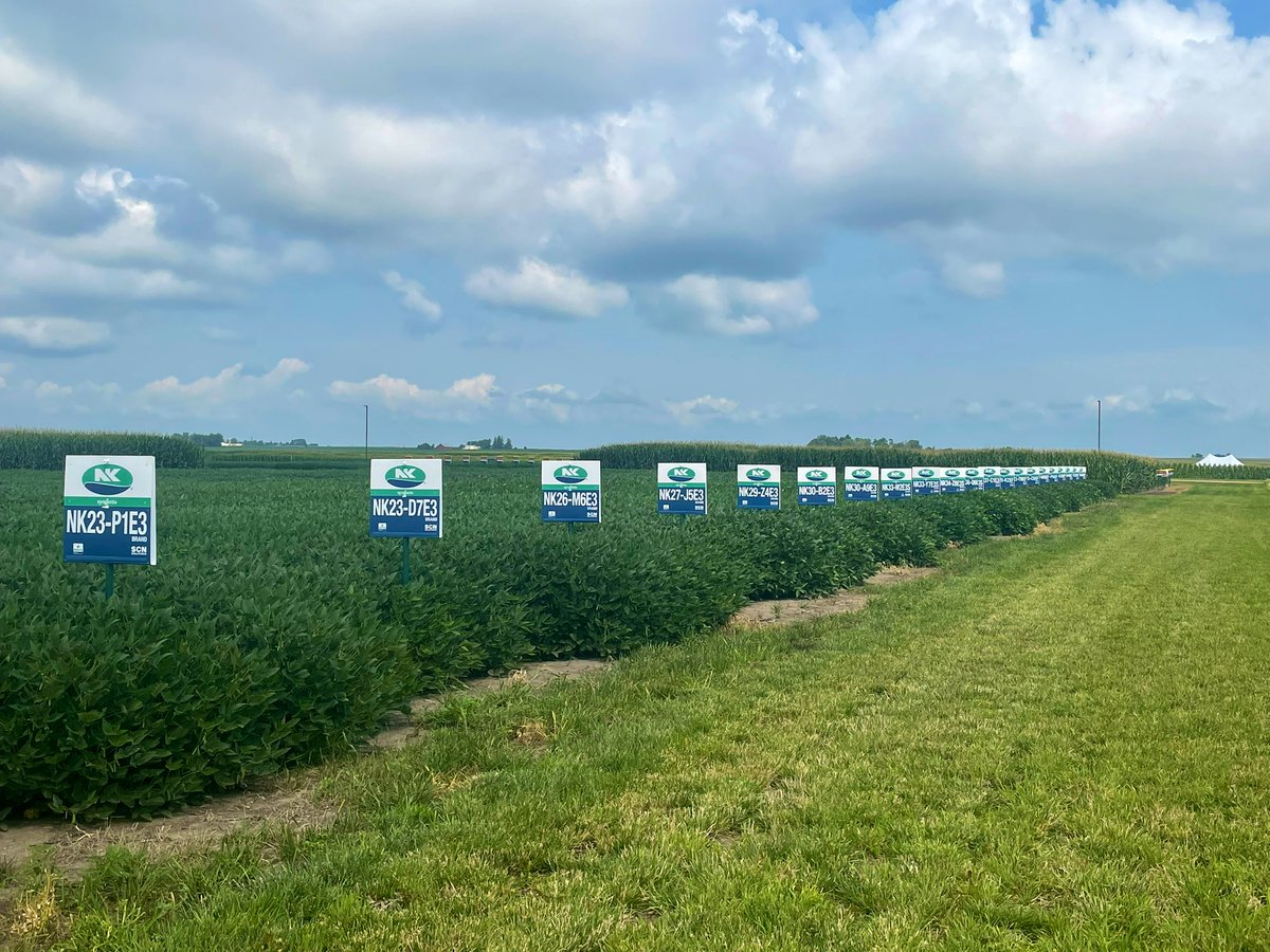 🇺🇸Corey Stevens🌽 tweet media