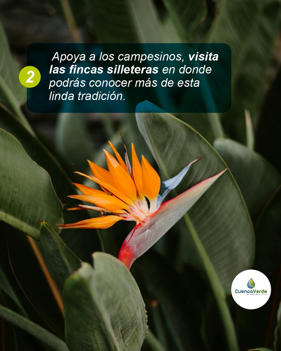 CuencaVerde tweet media