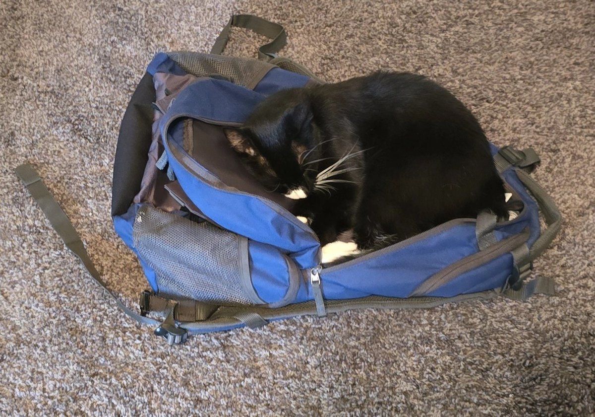 Hazel 🥞 tweet media