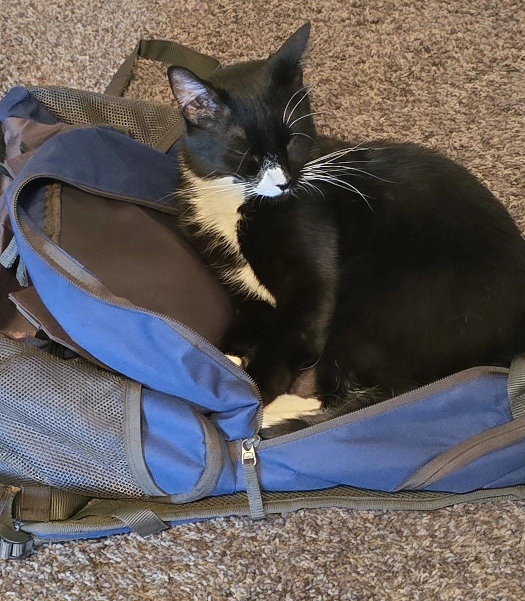 Hazel 🥞 tweet media