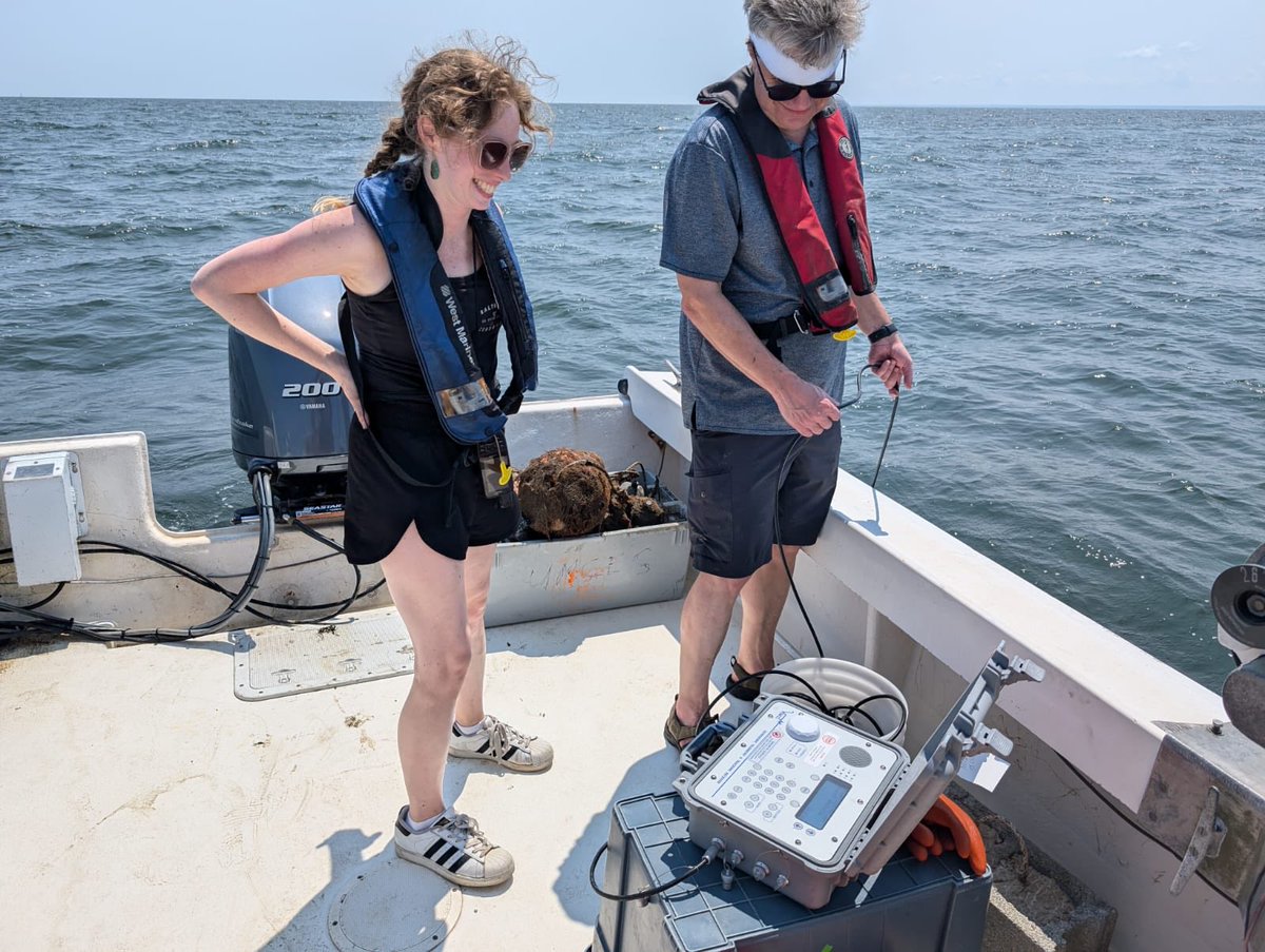 Six for six receivers popped up on our mid Chesapeake array including several Ocean Tracking Network loaners