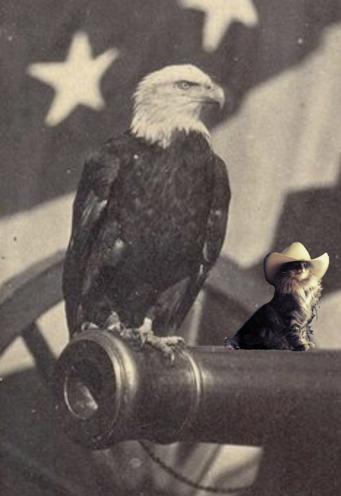 0xProut222's tweet photo. The real American cat is $acat send it 

CKvqNutfDHeJ1WMoAAkbsTyRDYYU14DPEnC6LQkopump

@ACAT_CTO https://t.co/EC4tS6PbMc