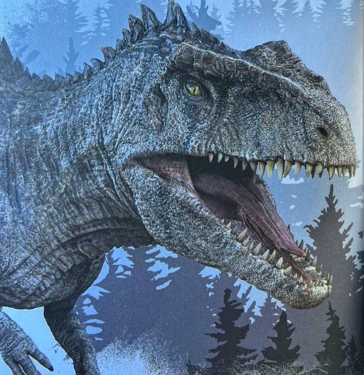 Nova Stein tweet media