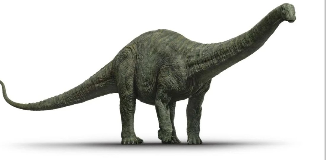 Nova Stein tweet media