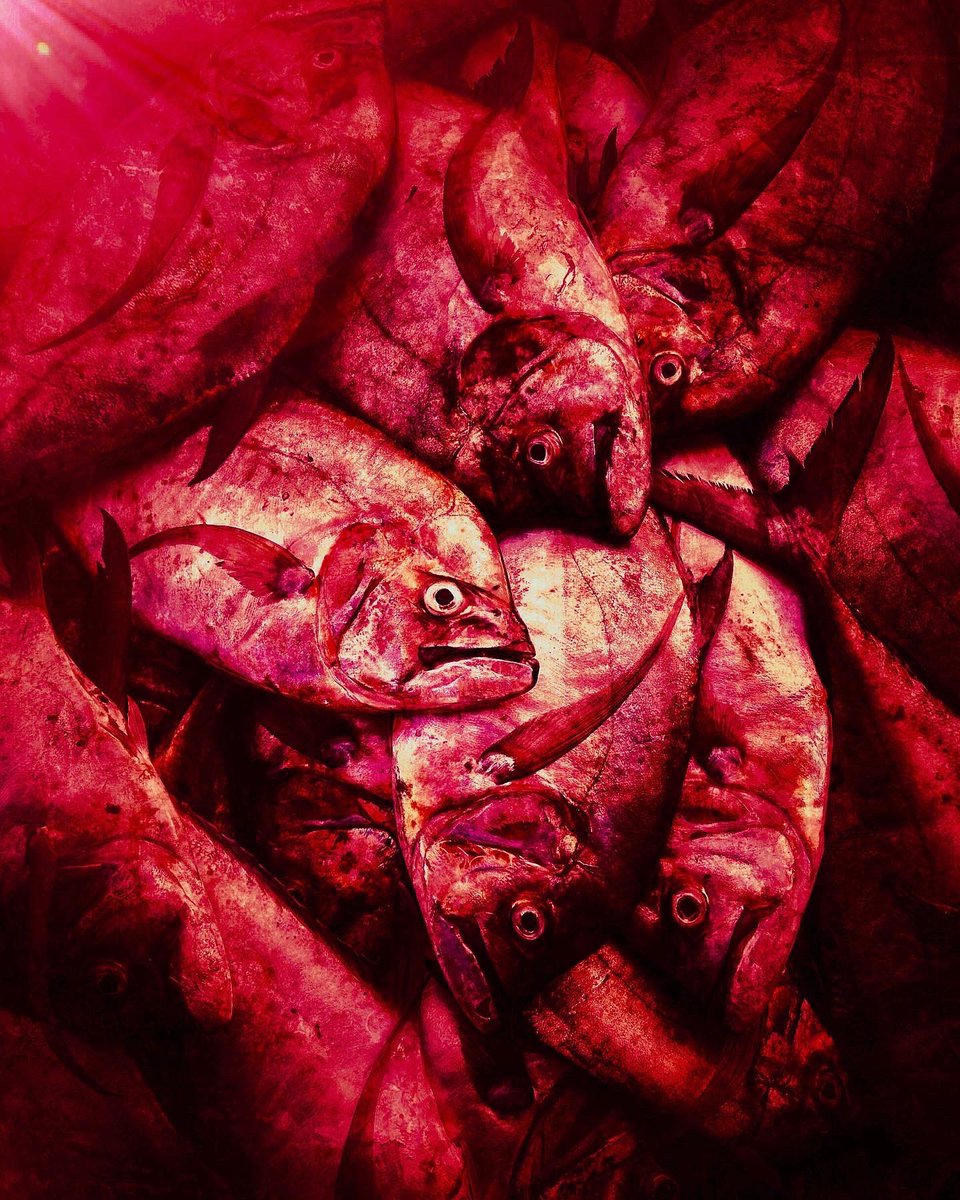 GM Fam 

My “Fishes &amp; Humans” series on <a href="/ArtifactDotArt/">Artifact</a> gallery on <a href="/SuperRare/">SuperRare</a> 🙌

Victims of greater powers, humans and fishes are very similar. 
Both of them are fragile and vulnerable.

Open for offer🔥

Links⬇️

superrare.com/Mehdi_Nazeri
