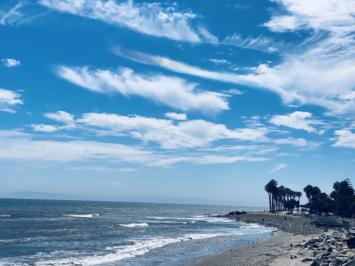 Stagwolf tweet media