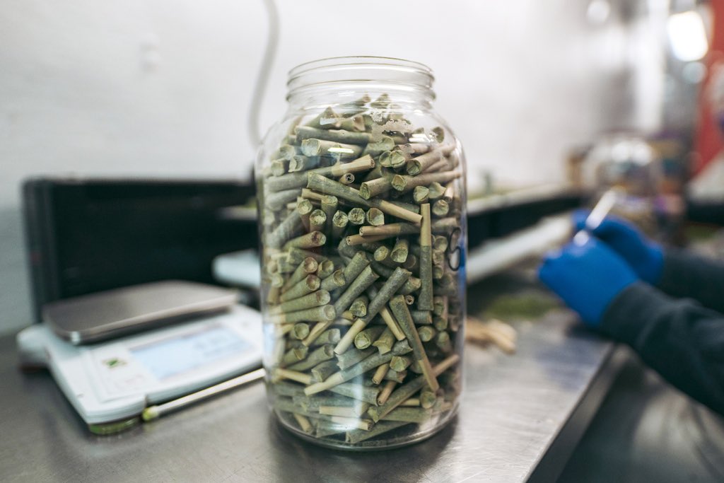 Limpee3's tweet image. Just to get the work done ✅