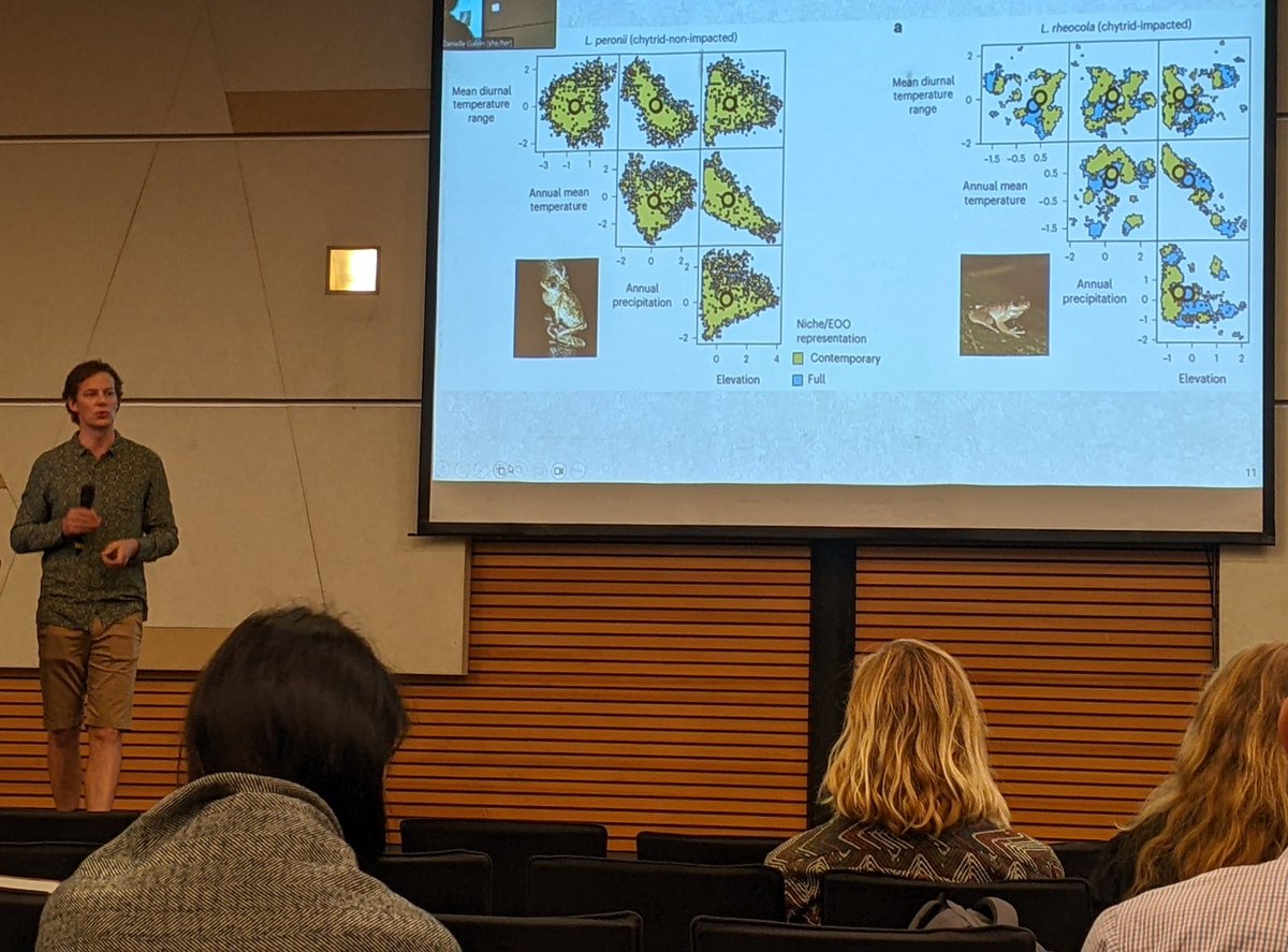 Emma Steigerwald (@emmasteigerwald) on Twitter photo Can we think of chytrid-affected species as essentially new species? Cool talk by <a href="/BenCScheele/">Ben Scheele</a> on how chytrid is reshaping distributions & fundamental ecology of species ๐ธ๐ธ Can we think of chytrid-affected species as essentially new species? Cool talk by <a href="/BenCScheele/">Ben Scheele</a> on how chytrid is reshaping distributions & fundamental ecology of species ๐ธ๐ธ