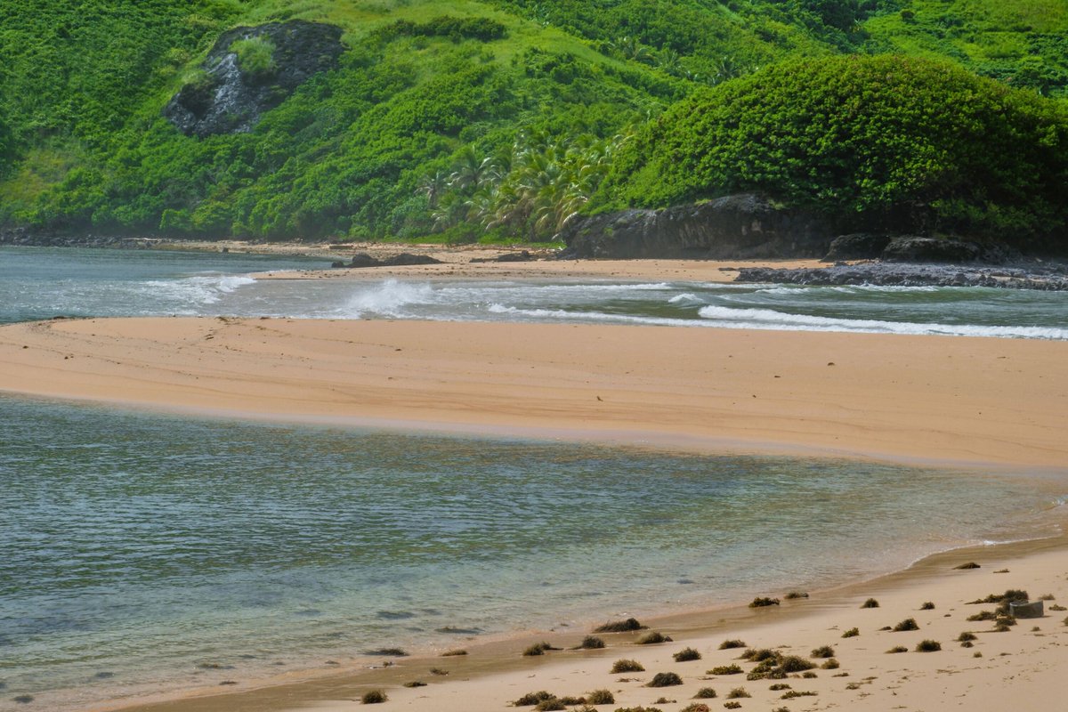 Pacific_Ark's tweet photo. 🌴☀️ Discover Fiji's Beaches with Pacific Ark! 🌺🏝️

Ever dreamt of walking on powdery white sands with the sound of gentle waves? That's Fiji! 🌊✨

Join us at Pacific Ark and let’s make every journey an adventure! 🌍🚀

#PacificArk #Fiji #BeachParadise #TravelDiaries 🌐✈️ https://t.co/WhekUjFYLZ