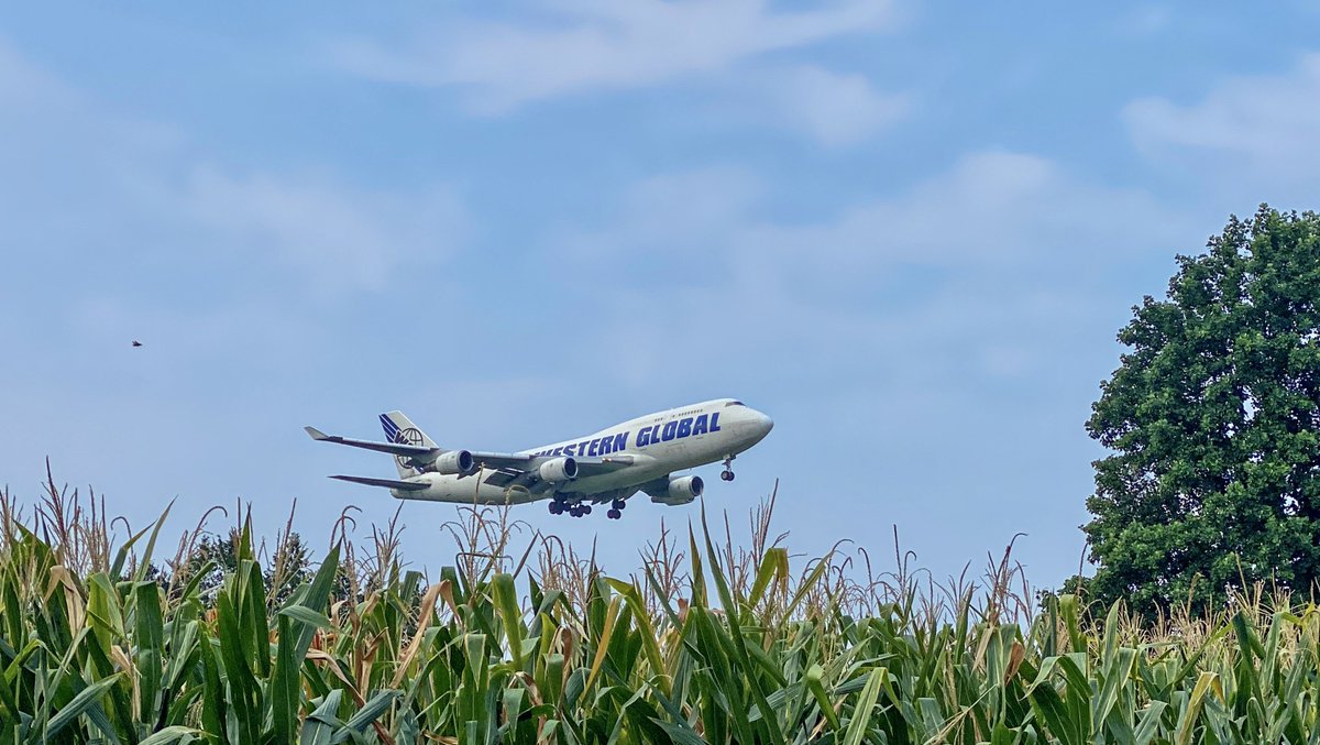 HAKONE_kuma's tweet image. ｳｪｽﾀﾝｸﾞﾛｰﾊﾞﾛｰ
summer

#RJTY
#WGA