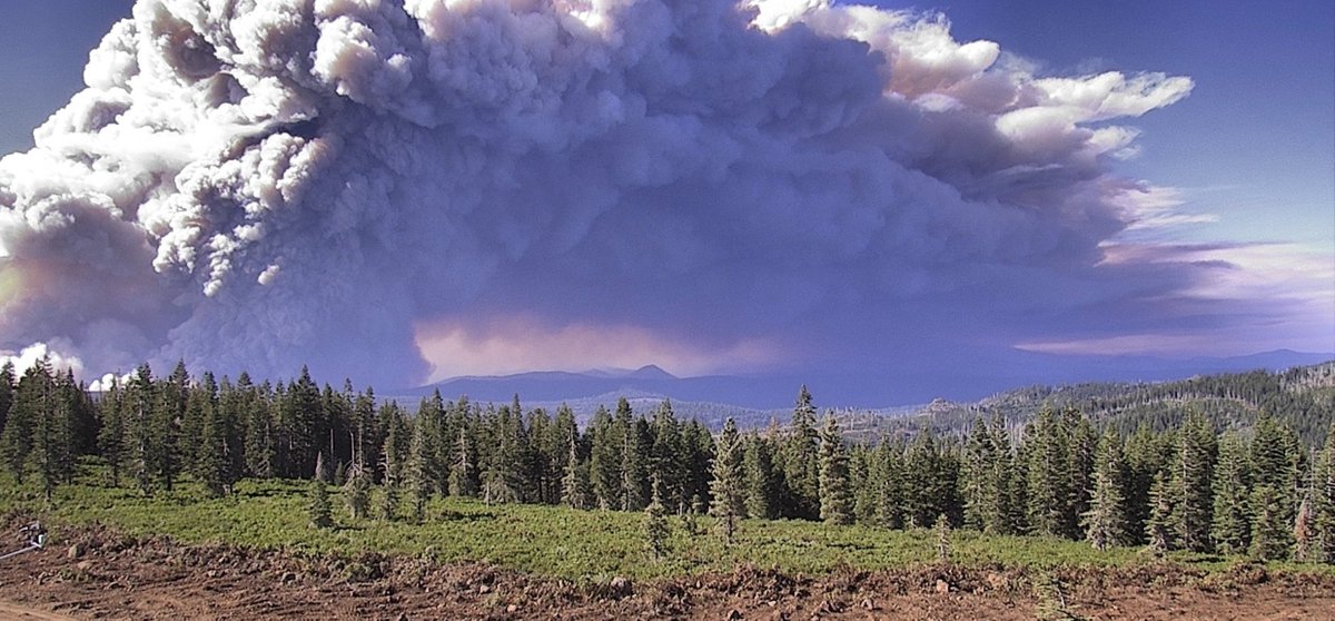 Mann Made Cinema tweet media