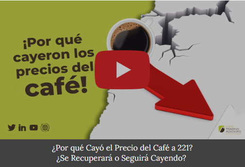 Café Trading Advisors & Judith Ganes tweet media