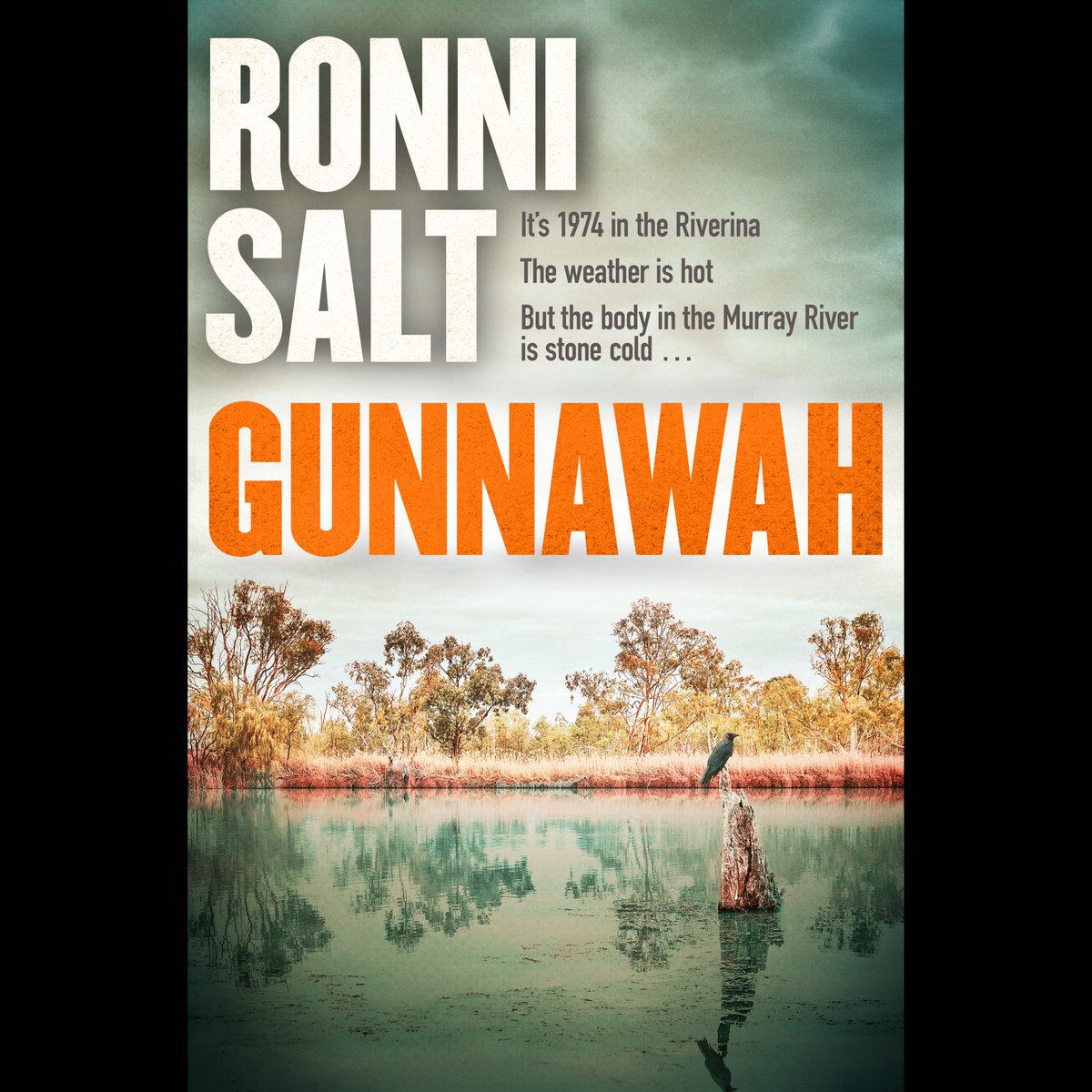 One big bonus of my life is I get to read a lot of books before they're released. My design studio instagram.com/alexrosscreati… did this  cover for an incredible debut by <a href="/RonniSalt/">Ronni🧂Salt-WhoWroteGunnawahYeahThatOne</a>. 

You can pre-order it (link👇). In a crowded genre it's a genuine standout! 
hachette.com.au/ronni-salt/gun…