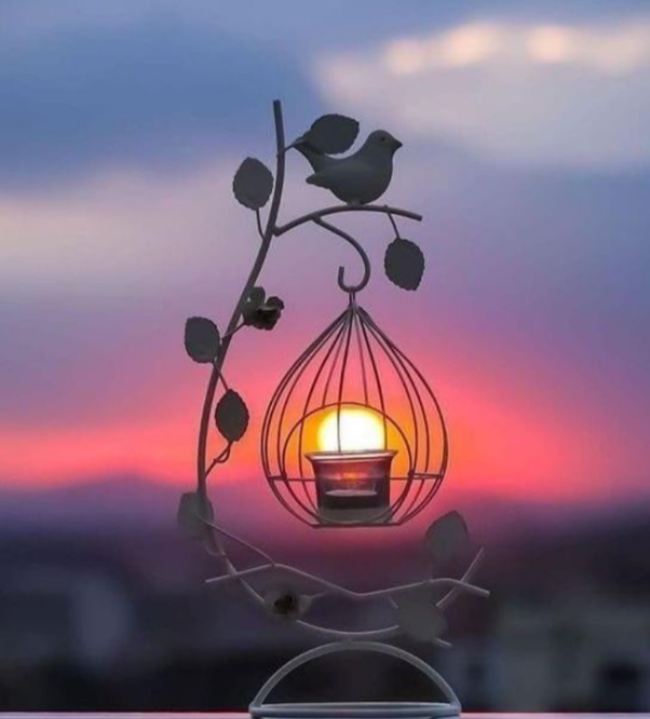 Victoria Brownworth tweet media