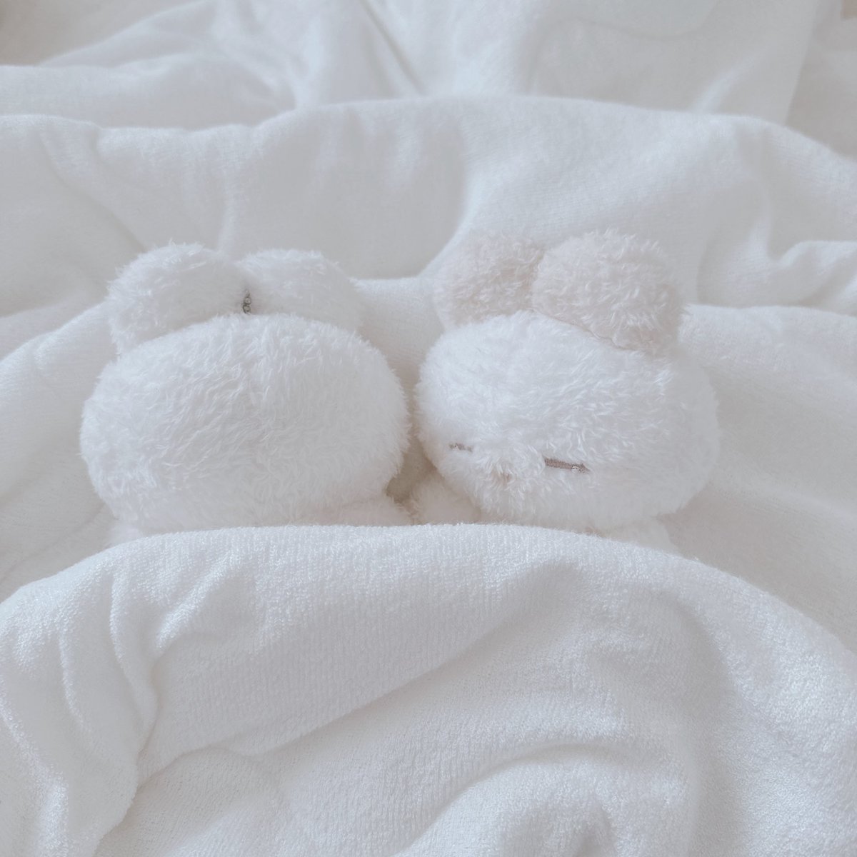 うつぶせね とよこむきね

 #ねむちゃんとのにちじょう