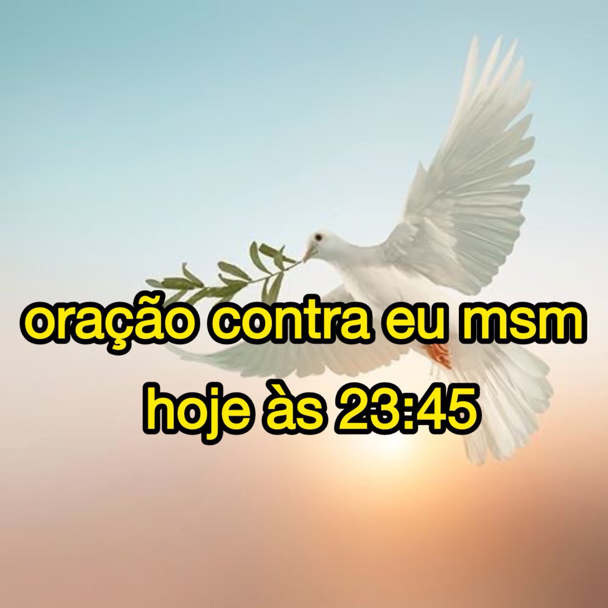 brunwalker's tweet image. eu pedindo desculpas no whatsapp por coisas que eu nem fiz