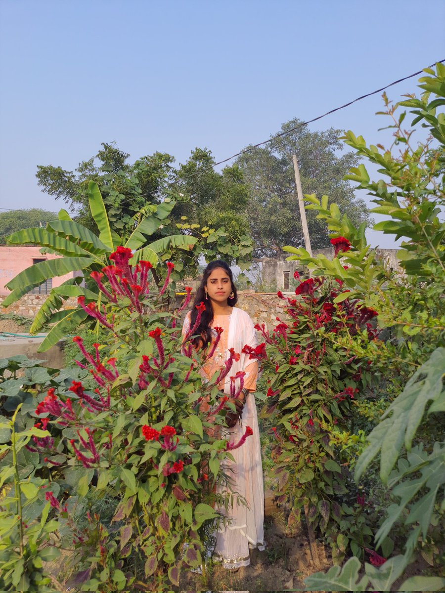 गाँव में जो मौज है वो कही नही ,किस -किस को पसंद है गाँव  का जीवन।