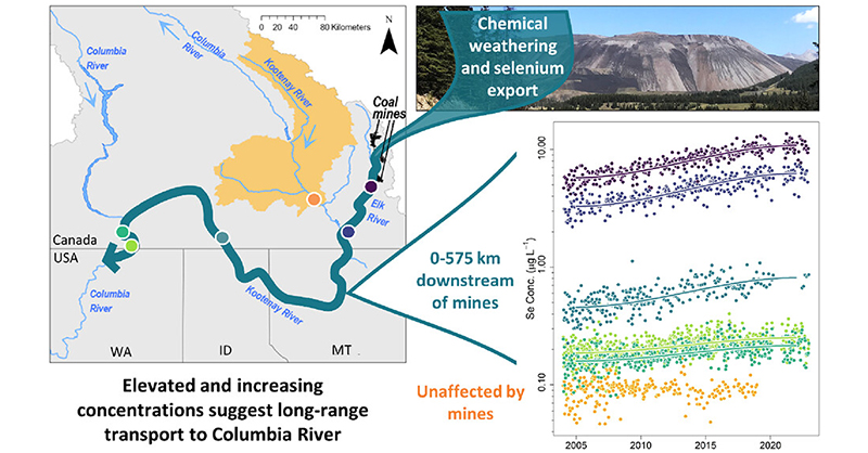EnvSciTech's tweet photo. This ES&amp;T Letters article by @USGS_WY @USGS provides multiple lines of evidence that #Selenium from the Elk River Mines is transported over 575 river kilometers and may pose risks to aquatic life in the transboundary #ColumbiaRiver.

#OpenAccess: https://t.co/kEL7xrQLZm https://t.co/76WpA8x4CI