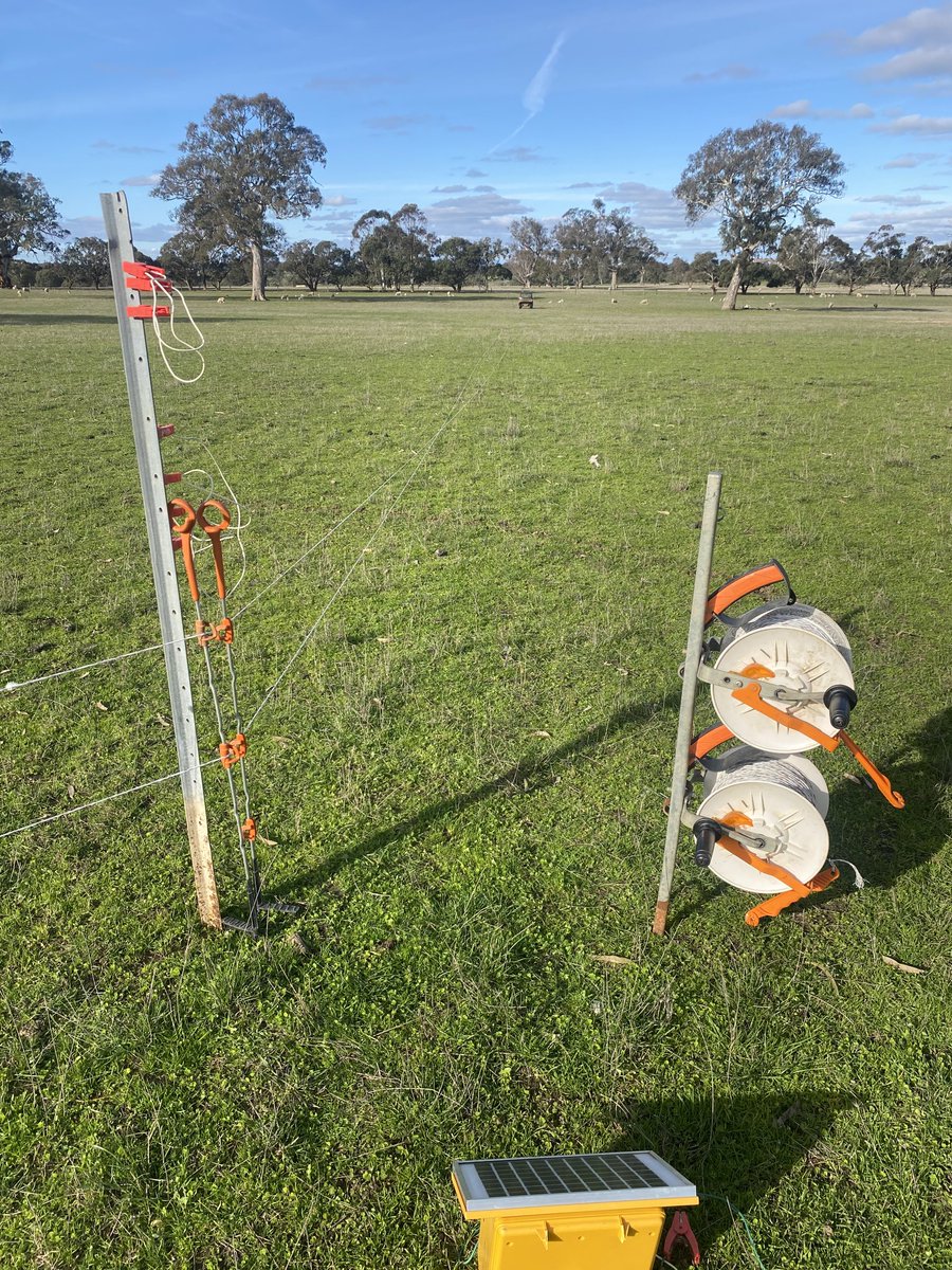 Packing up the mobsize reducers. Worked a treat as usual. #precisionlambing #paradooprime 
It’s been very satisfying to see the take up across farms in this space. The crap season of 2005 was when the penny dropped on why we needed to reduce mobsize in our flock. #mismothering
