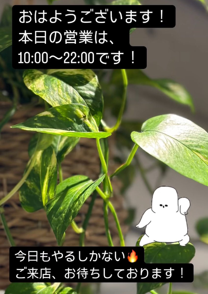 GsLABOcompany's tweet photo. おはようございます！
本日もGsトレーニングラボ豊橋は10時よりオープンしております！
よろしくお願いします！

#ストレッチ #豊橋ストレ���チ #豊橋トレーニングジム #豊橋トレーニング #豊橋 #パーソナルトレーニングジム 

 https://t.co/nehCEWDIFj https://t.co/TokVaGBTIt