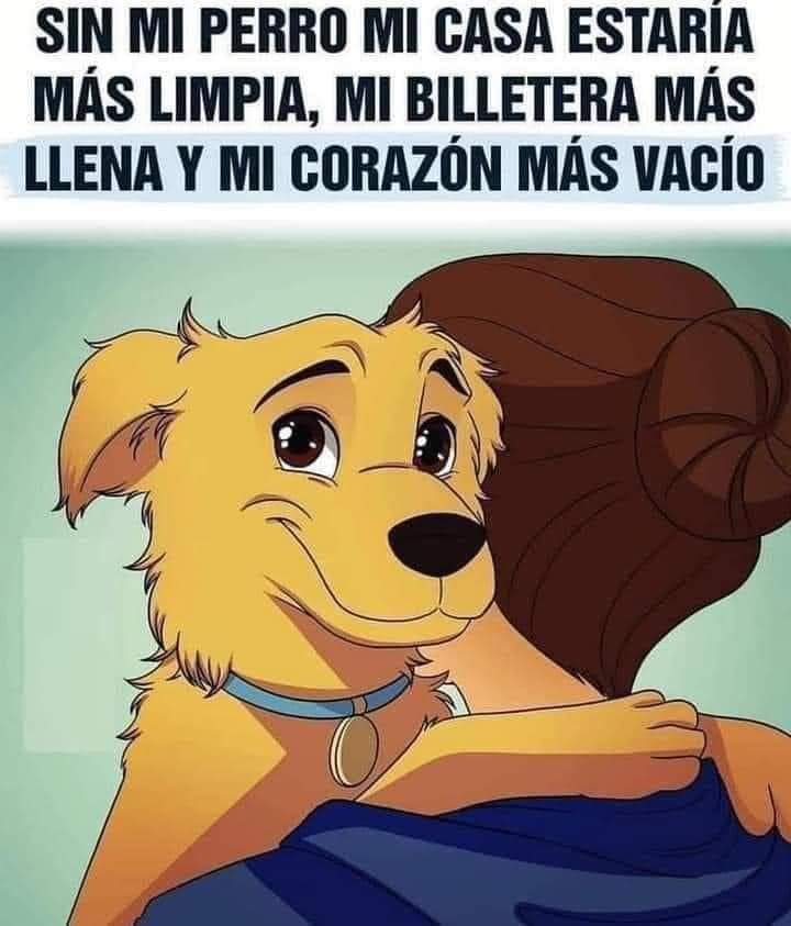Buenas noches 🐾🐶❤️
