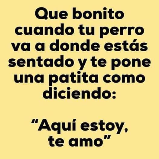 Sabueson (@sabueson) on Twitter photo 