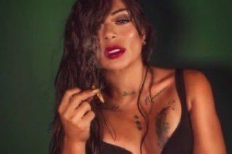 sebastian tweet media