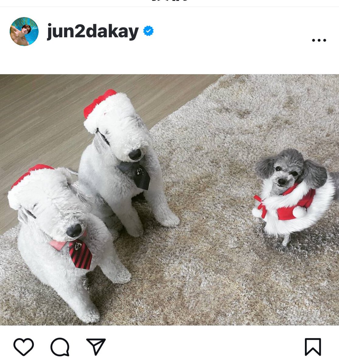 yosoyaudrey's tweet photo. オードリーの可愛いサジンが上がって来て、ファンの皆がオードリーをJun.Kと同じくらい可愛がっていたのに感動🥹　
忘れないよ❤️
#audry https://t.co/AAnih6NTXY