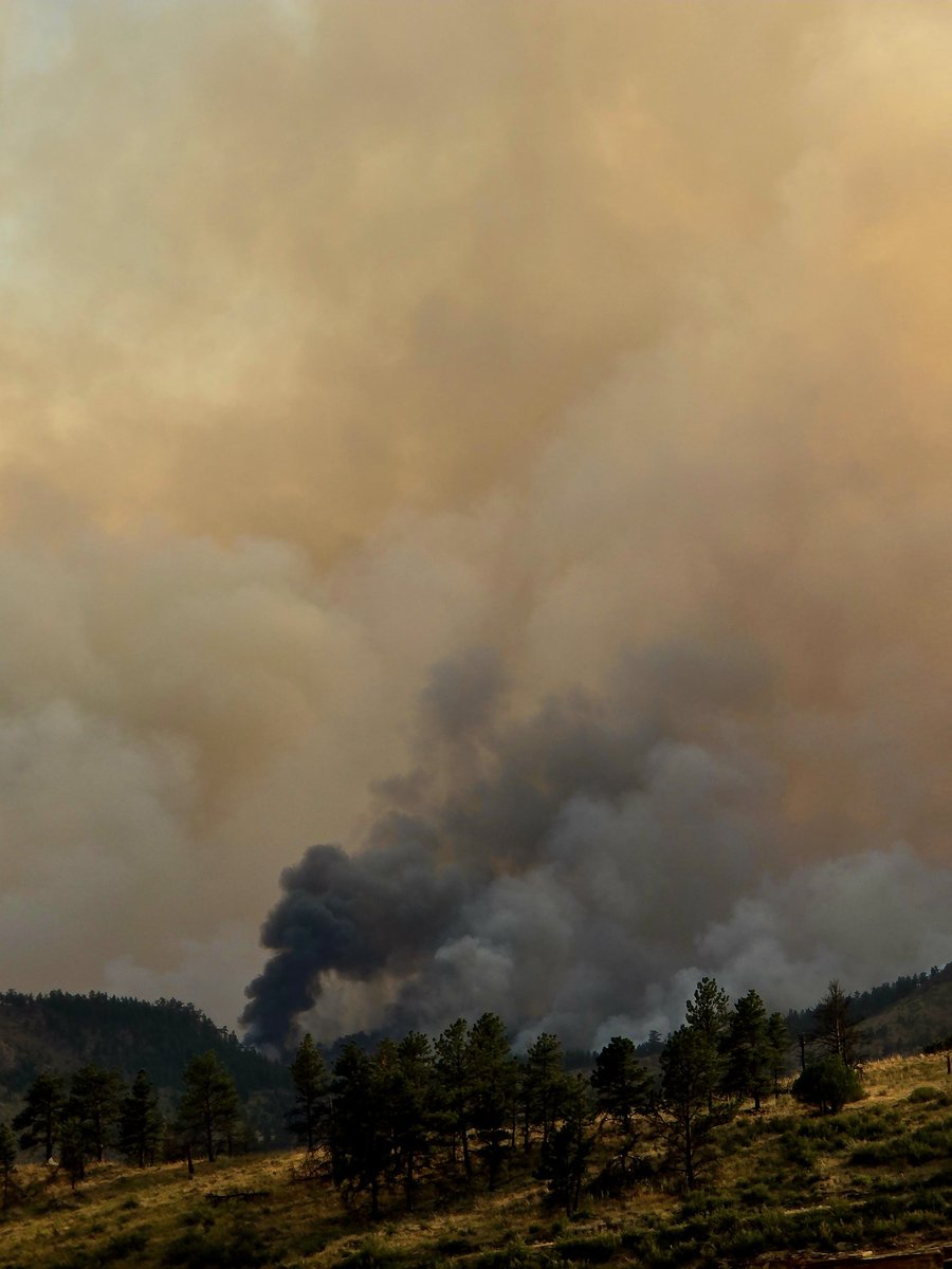 CycloneCowboys tweet media