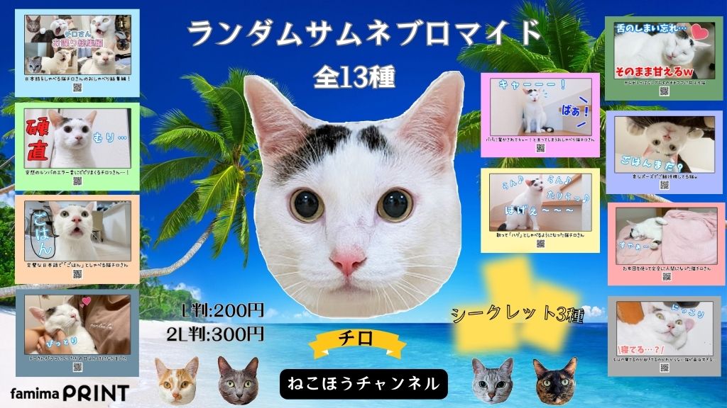 ちび猫※プロフ全文必読※2511W3 ちび猫※プロフ全文必読※2511W3 ちび猫※プロフ全文必読※2511W3 ちび猫