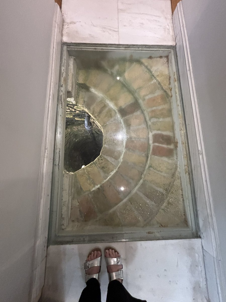 Allison Timmins tweet media