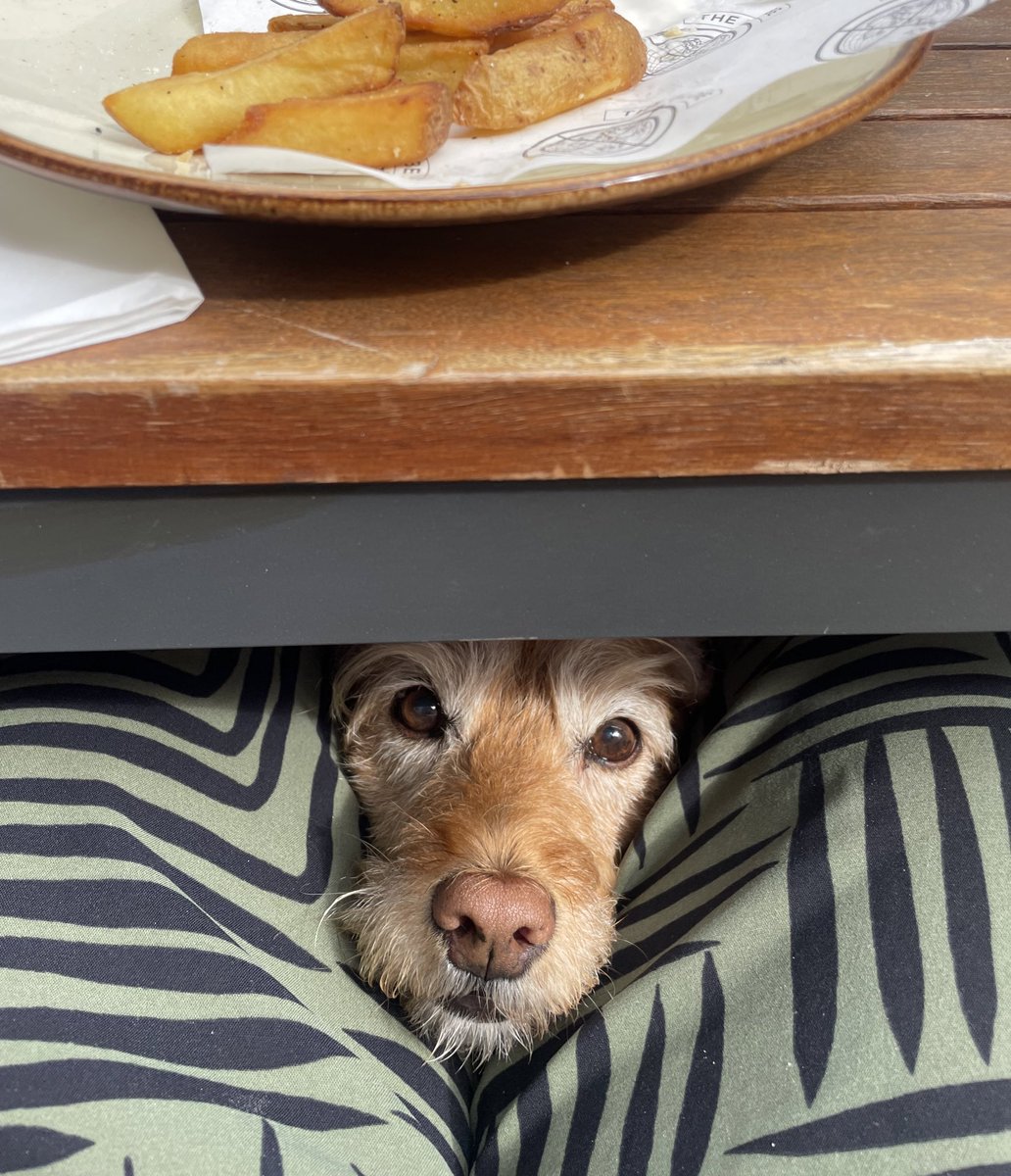 Hoomum &amp; hoodad taked me shopping’s…they just laid on lots of beds ??? People in shops gibs me fuss <a href="/footlocker/">Foot Locker</a> <a href="/SetLeicester/">Set Leicester</a> <a href="/TheBodyShopUK/">The Body Shop UK</a> But i dids get chippy for looking cute &amp; treaties <a href="/GlobeLeicester/">The Globe Leicester</a> now zorsted 😵‍💫