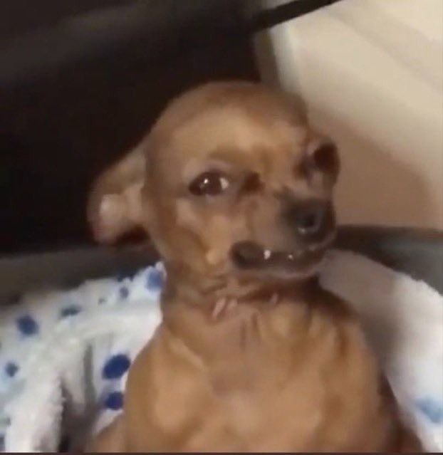 wey neta sí están muy mal cuando la persona más decente de tu cuarto ES POTRO. 
#LCDLFMX 
#LaCasaDeLosFamososMx2 
#LaCasaDeLosFamososMx