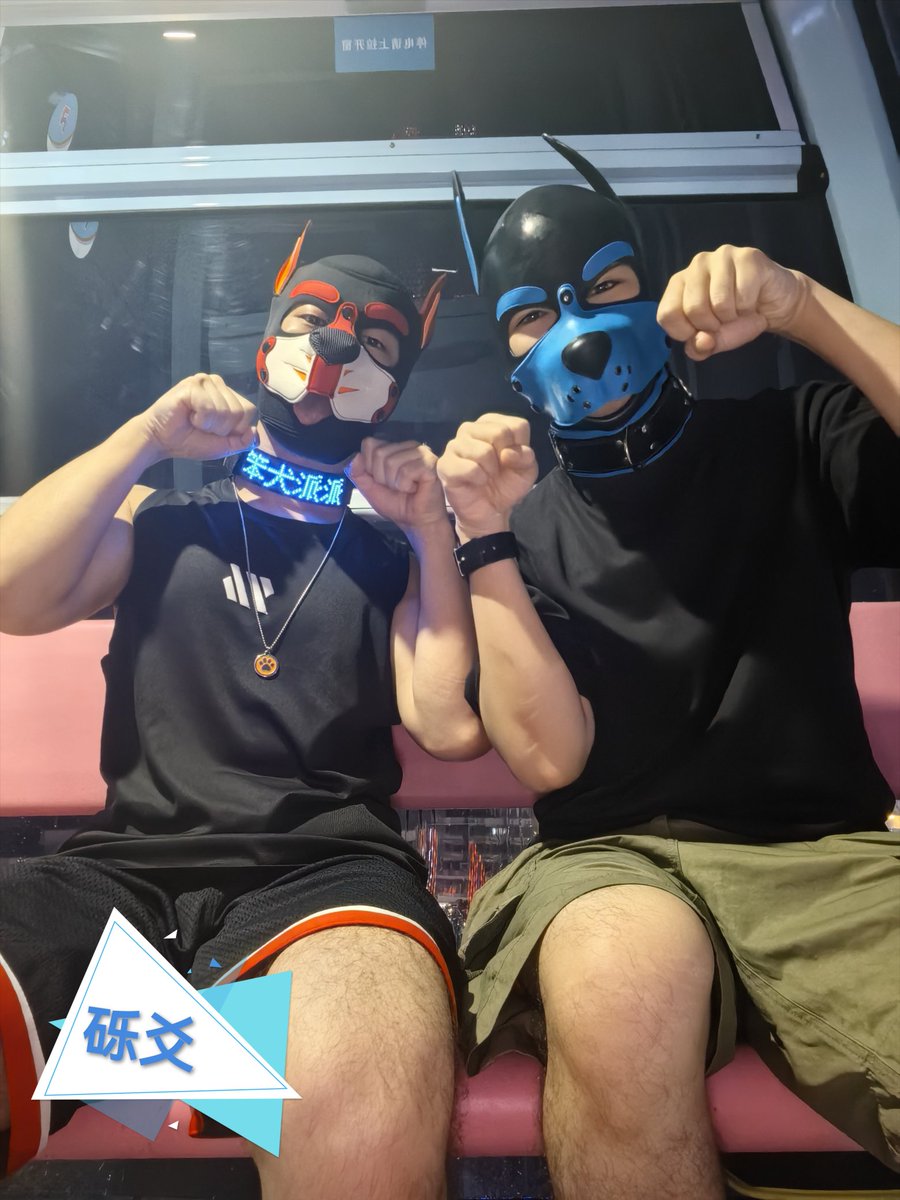 新认识好朋狗，开心。😊