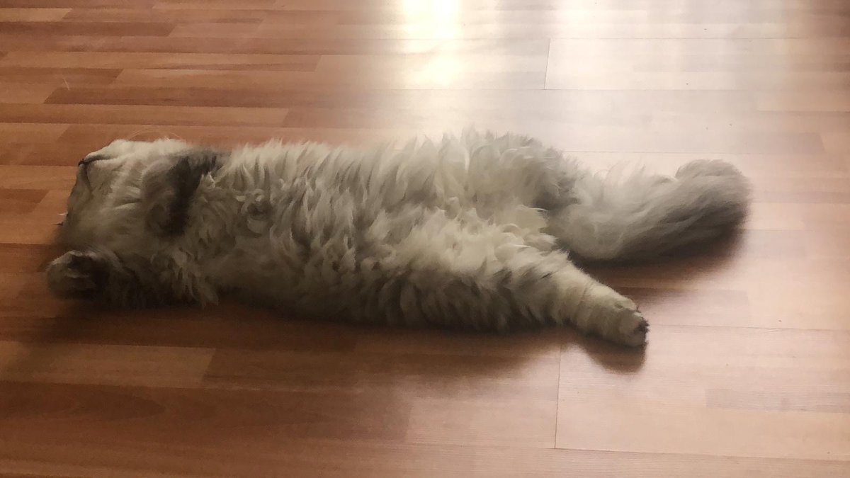 Burak Erensoy (@burakerensoy) on Twitter photo 