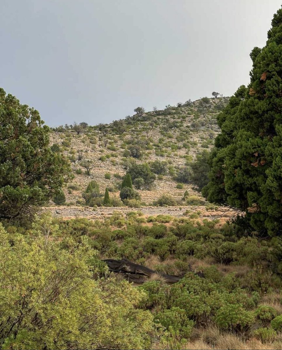 من آمن بجبر الله أتاه عظيماً🦋.