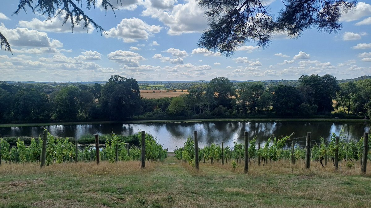 deepgreenzone's tweet photo. Great day out at beautiful Painshill Garden in Cobham #Painshill #landscape @Painshill #landscapephotography https://t.co/dXVZ311jol