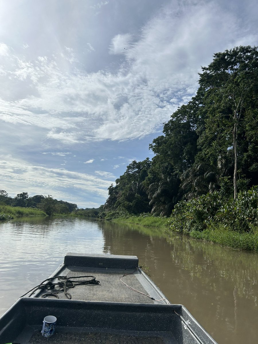 Jeaustin_B's tweet photo. Se mantienen diferentes acción policiales en el sector de Barra de Tortuguero, procurando el bienestar de la ciudadanía y velando por aquellas personas que vistan la zona con fines turísticos.🐢🦥🐆

#CostaRica 
#tortuguero 
@fuerzapublicaCR 
@PoliciaCR https://t.co/pW3PmaH4D0