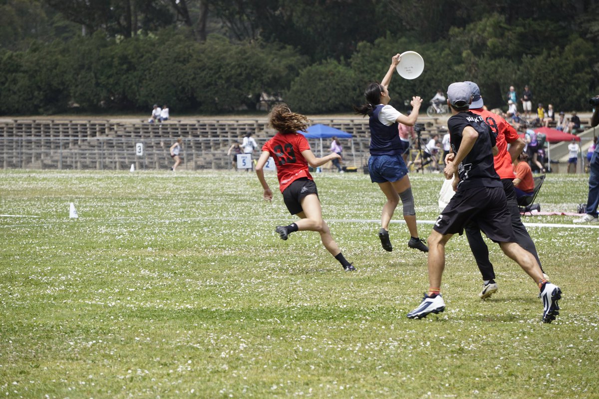 Get a Bot who can do both 🤪