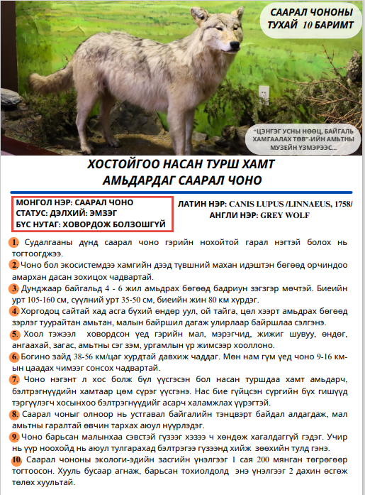 Саарал чонын тухай 10 баримт
Цэнгэг усны нөөц, байгаль хамгаалах төв-ийн музейгээс үзүүлж байна.

#Хүүхэд залуучуудын #байгаль ан амьтдын тухай мэдлэгт зориулав.
#Байгалиа #танин мэдэж хайрлая.
Байгаль орчин, уур амьсгалын өөрчлөлтийн яам
Цэнгэг усны нөөц, байгаль хамгаалах төв