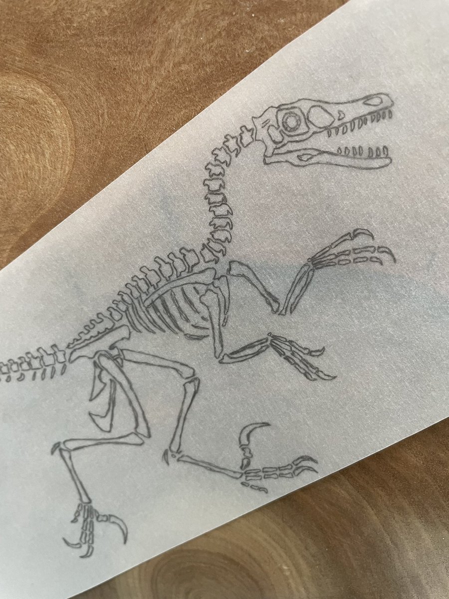 sabiillustrates's tweet photo. Cleaned sketch for my new mug design 🦖 https://t.co/60RyL2DbQi