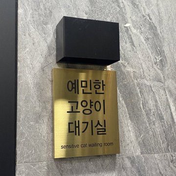 시홍 tweet media