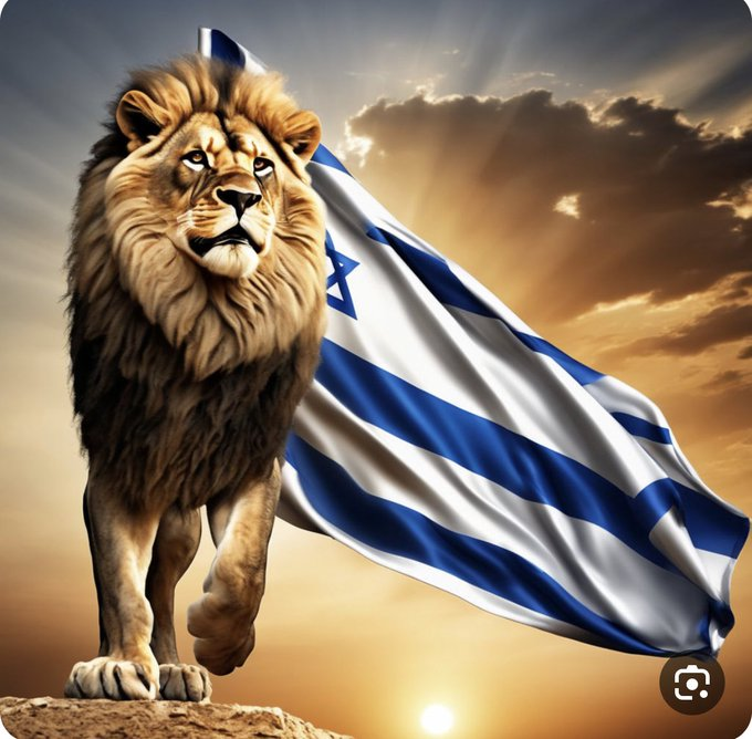 Vivid.🇮🇱 tweet media