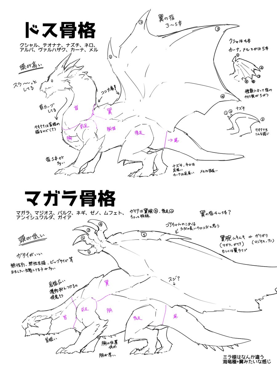 ドス骨格、マガラ骨格モンスターを描く時に注意している点等ざっくりまとめました！
(⚠️偏見と妄想で補っているところが多々あると思います)