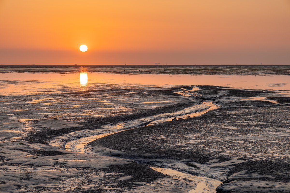 Goedemorgen ☀️ Vandaag is er veel zon, in het zuidoosten kan het lokaal wel 30°C worden. Vannacht en morgenochtend trekken van west naar oost enkele regen- en onweersbuien. Daarachter bevinden we ons morgen in minder warme lucht. 📷 Tim Zijlstra uit Anjum. buienradar.nl/nederland/weer…