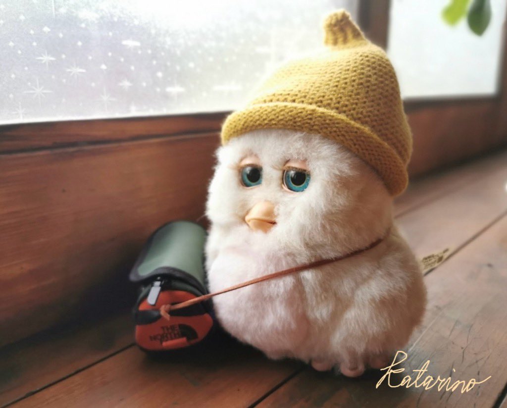 CocoKatarino's tweet photo. 自分軸☁️ https://t.co/TIVVSbNNrl