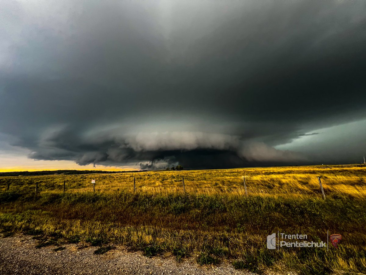 Trenten Pentelichuk tweet media