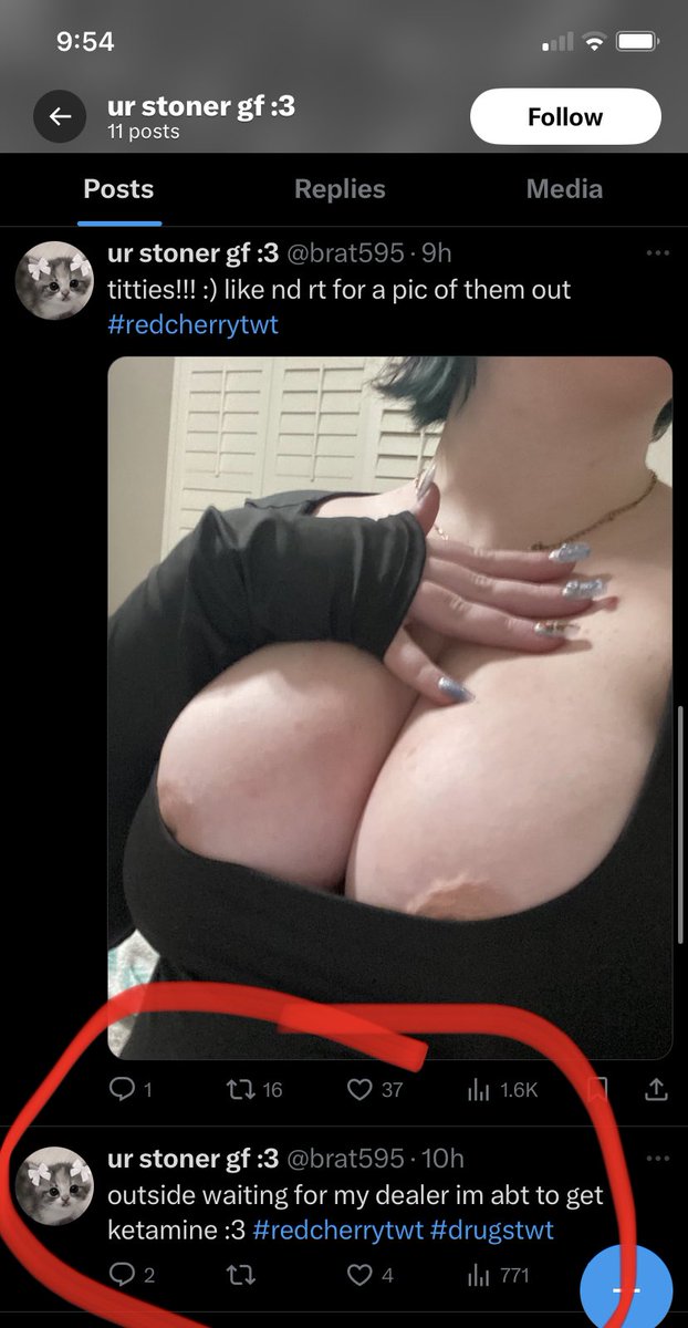 mowmow tweet media