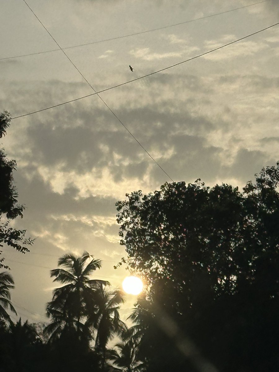 Dia Mirza tweet media